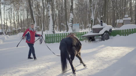 person riding a pony in a snowy park