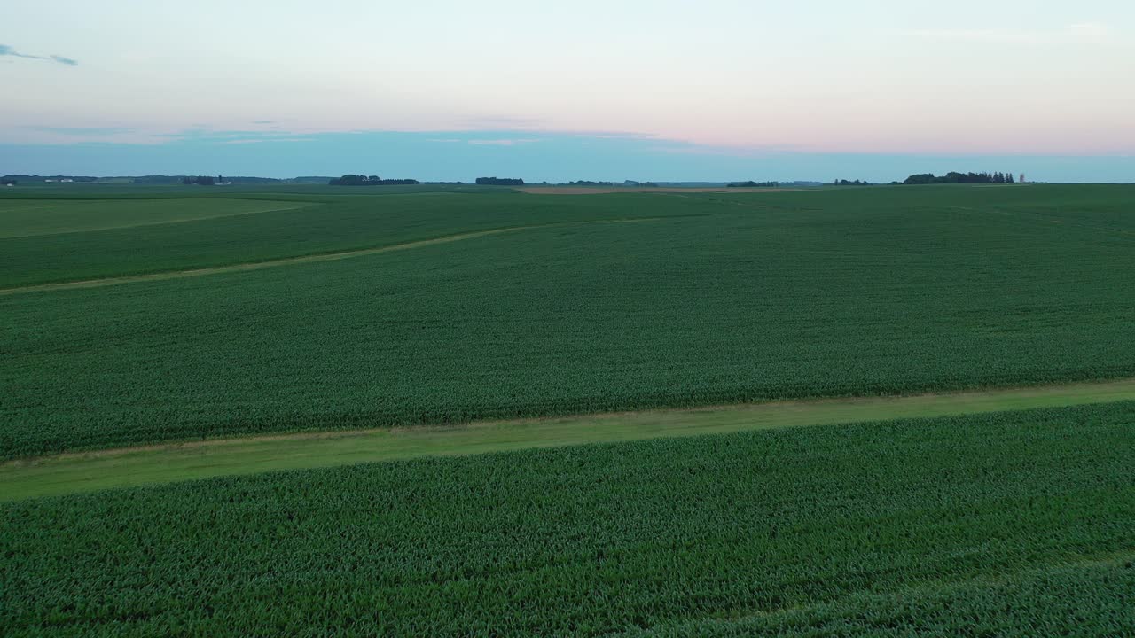 Aerial View of Cornfields at Dusk