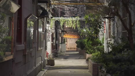 quiet lane in lane house during covid 19 pandemic lockdown 2022 in shanghai, china