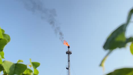 burning gas flare smoking black with green leaves in the foreground in bangladesh on a sunny day with some clouds