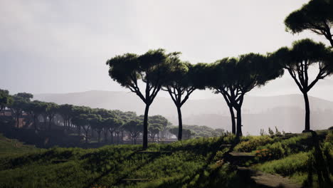 Volando-Sobre-Los-Campos-Que-Cubren-El-Vasto-Paisaje-Africano