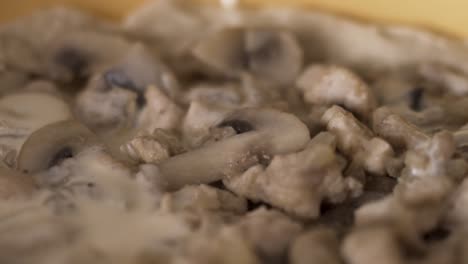 creamy mushroom and chicken dish preparation