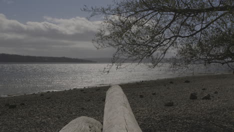 puget sound, washington state