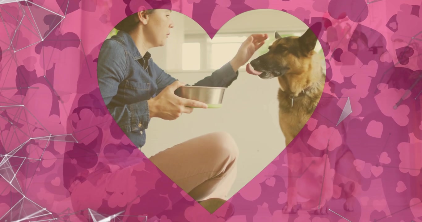 Donna inginocchiata che offre una ciotola, un cane tranquillo che accetta le carezze per la cura dell'animale, con una cornice a forma di cuore rosa in sovrapposizione.