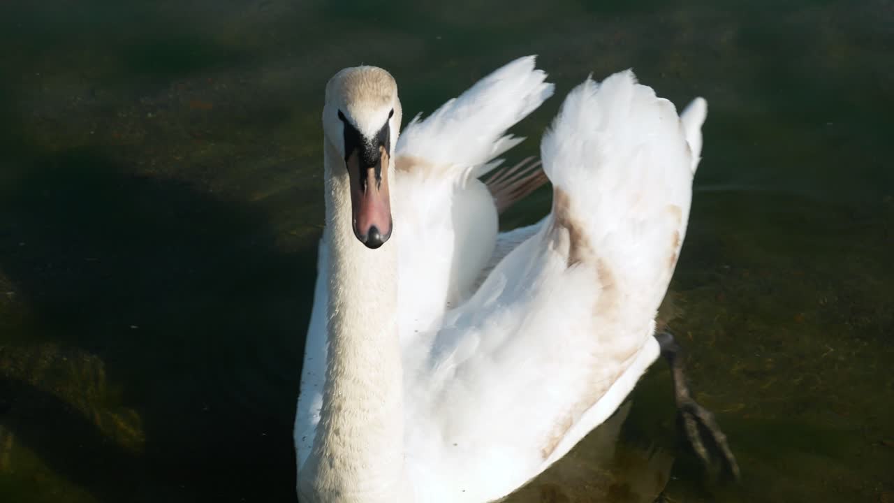 canada lake ontario summer water lakeshore toronto etobicoke water humber