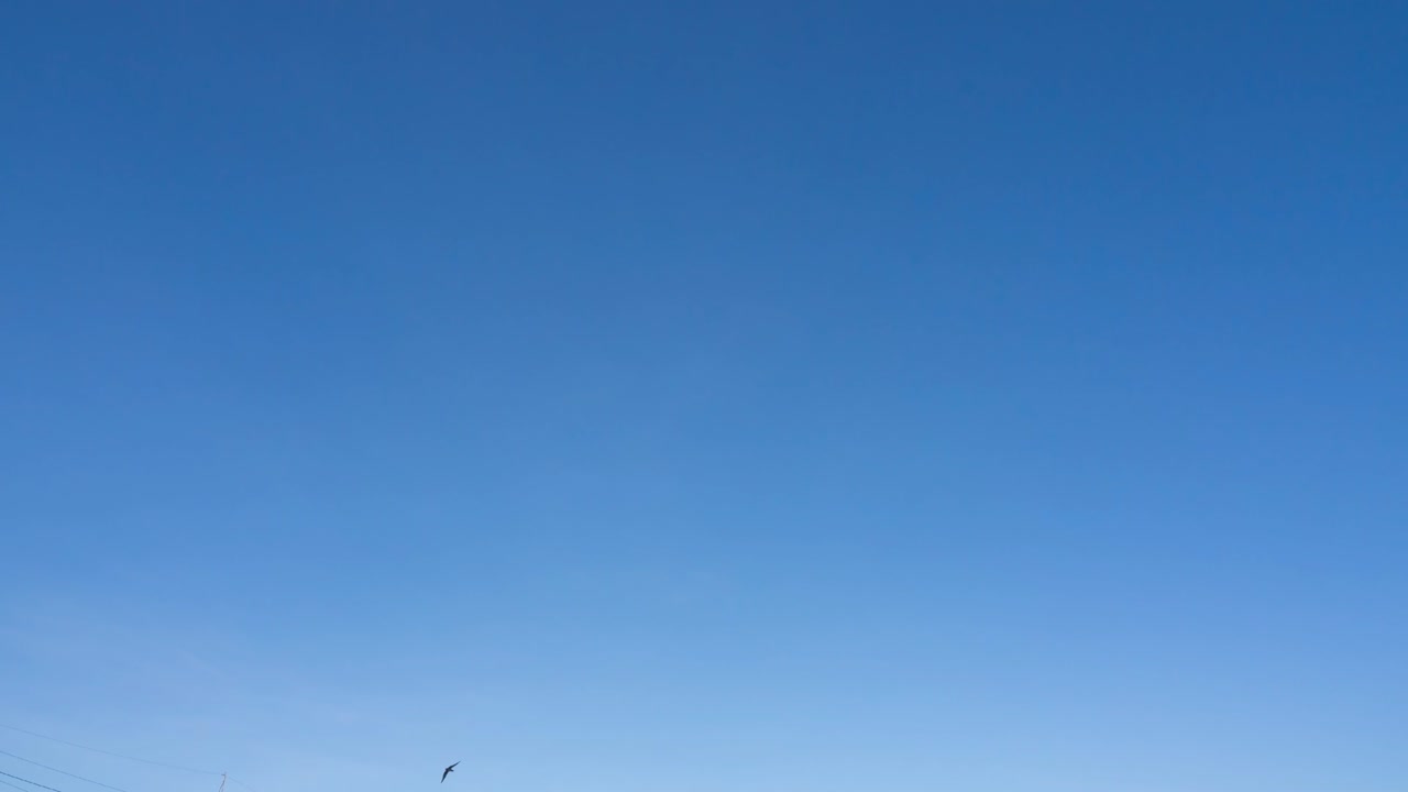 파란 하늘은 은 날에 넓은 고 은 공간, 스카이케이퍼는 자연의 배경, 은 하늘의 타임스, 화면의 부분에 작은 색 어리 구름이 아오르고, 봄에 구름없는 날, 밝은 하늘.