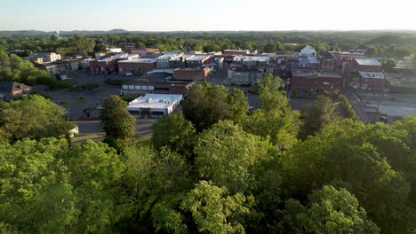 aerial-push-over-treetops-to-mt-airy-nc,-north-carolina