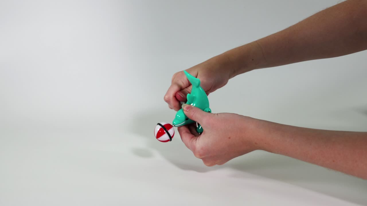 Hands winding and playing with a seal toy
