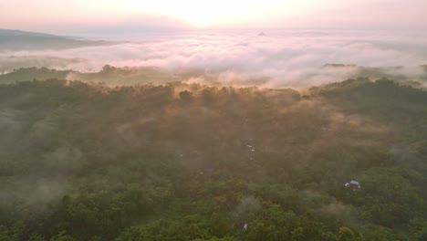 Early-morning-sunrise-and-fog-covering-magical-landscape-of-Indonesia,-aerial-view