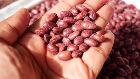 handful of red beans