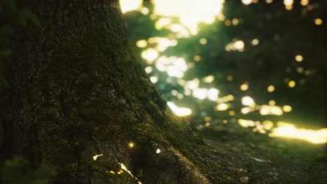 fantasy firefly lights in the magical forest