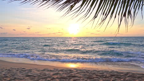 sunset at tropical paradise, yellow sun, sandy island beach and palm tree shade, full frame slow motion