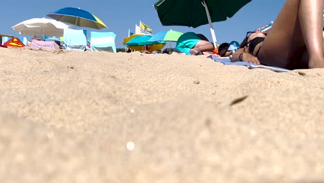 코스타 다 카파리카 (costa da caparica) 의 바람이 부는 날,  ⁇ 은 여자가  ⁇ 을  ⁇ 고 순간을 즐기며, 조용한 즐거움으로 요소를 받아들이고 있습니다.