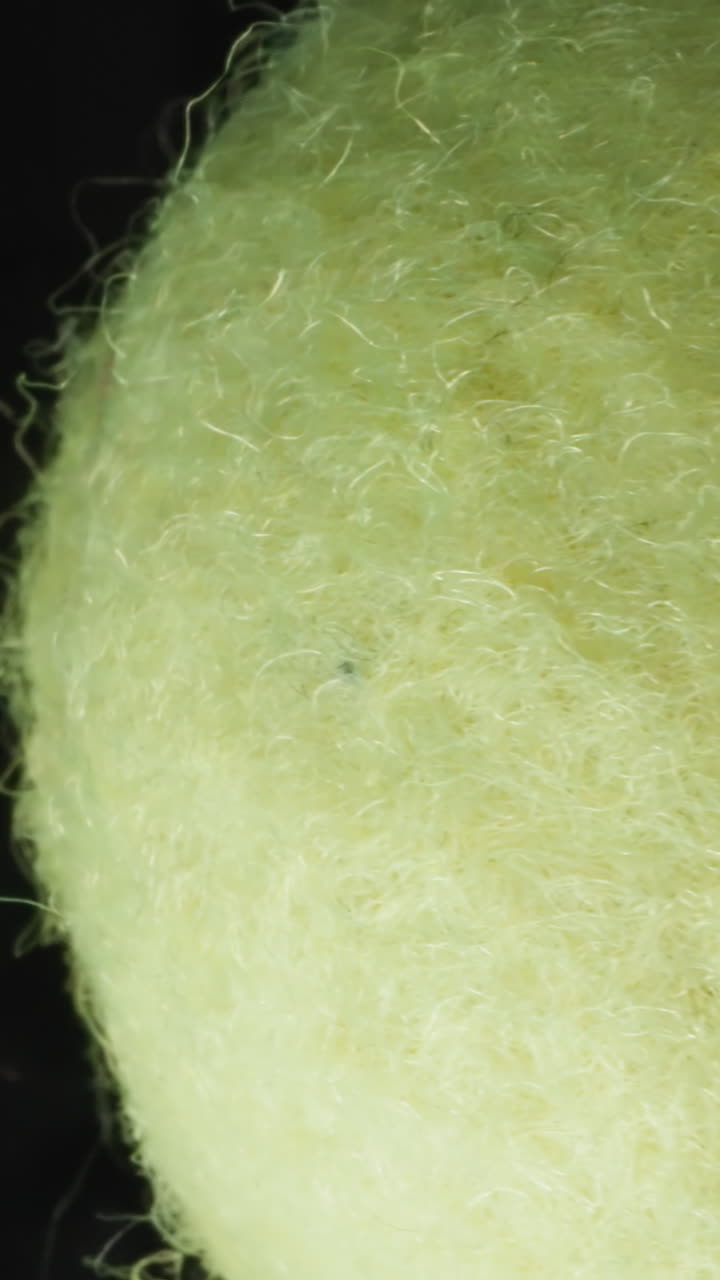 Special tennis ball lies in room. Game equipment with good flight characteristics. Ball surfaced by uniform felt-covered rubber compound on blurred background