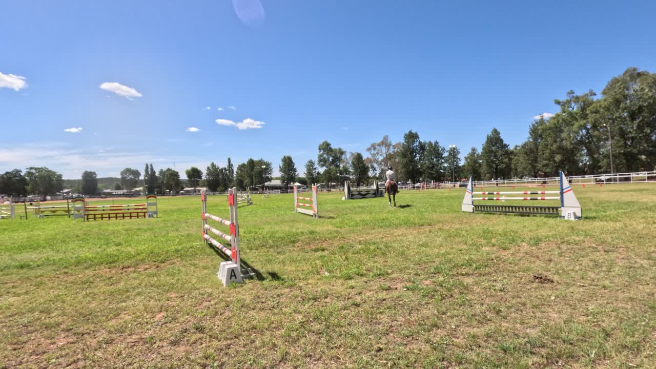 caballo y jinete navegando en una pista de salto