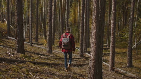 Zeitlupe:-Mann-Wandert-An-Einem-Sonnigen-Herbsttag-Im-Grünen-Wald.-Rückansicht-Eines-Aktiven,-Gesunden-Mannes-Mit-Rucksack,-Der-Im-Kiefernwald-Spaziert.-Ein-Männlicher-Reisender-Geht-Auf-Einem-Wanderweg-Spazieren-Und-Erkundet-Die-Natur.-Hochwertiges-4K-Filmmaterial