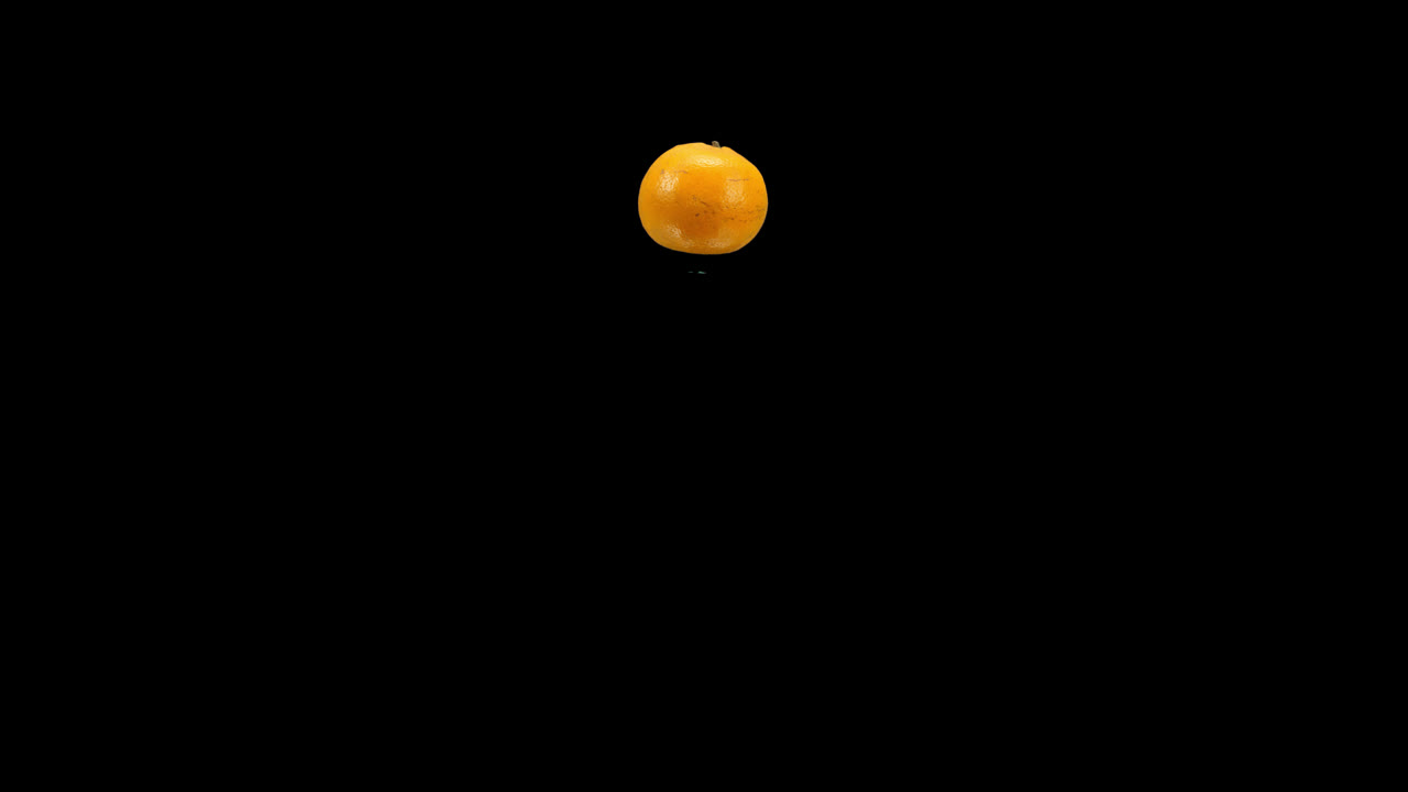 Single Orange
