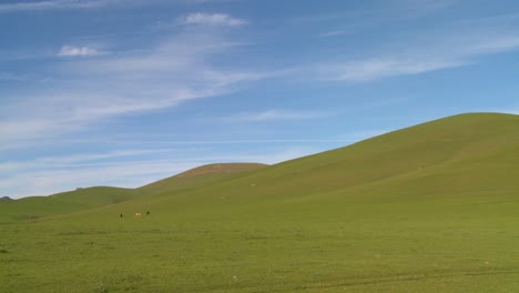 Los-Campos-Verdes-Ruedan-Hacia-El-Horizonte-Contra-Un-Cielo-Azul-Profundo