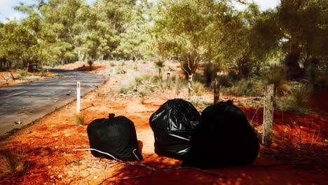 closeup of full trash bags on the sand