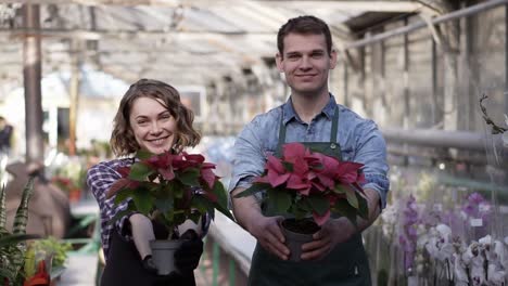 portrait of a beautiful woman and handsome guy working in sunny greenhouse full of blooming plants, standing with pots plants with outstretched hands and cheerfully smiling to a camera. rows of blooming flowers on the background