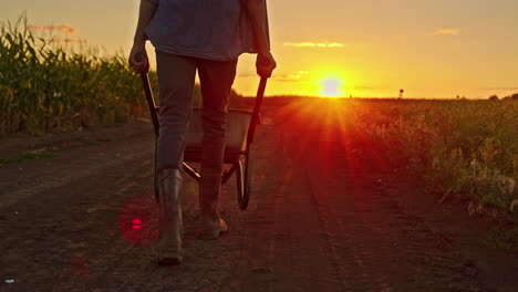 farmer pushing wheelbarrow at sunset