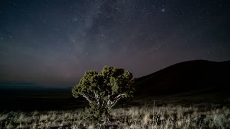 Después-Del-Crepúsculo,-La-Vía-Láctea-Cruza-El-Cielo-De-La-Pradera-Sobre-Un-árbol---Lapso-De-Tiempo