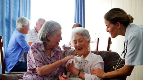 mujeres mayores acariciando gatito mientras interactúan con el médico 4k