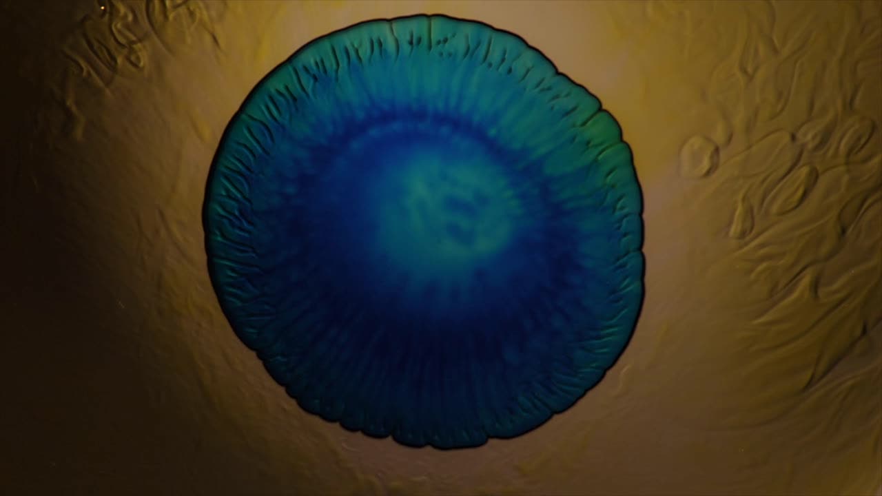 dejado a su suerte, el círculo azul-verde funciona muy bien; para obtener más información, busque "videoclip abstracto" entre comillas