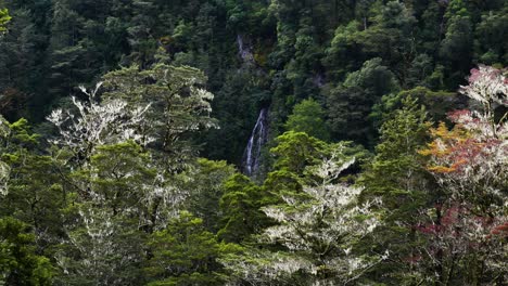 toma amplia de cascada que fluye por las montañas verdes en la jungla de nueva zelanda