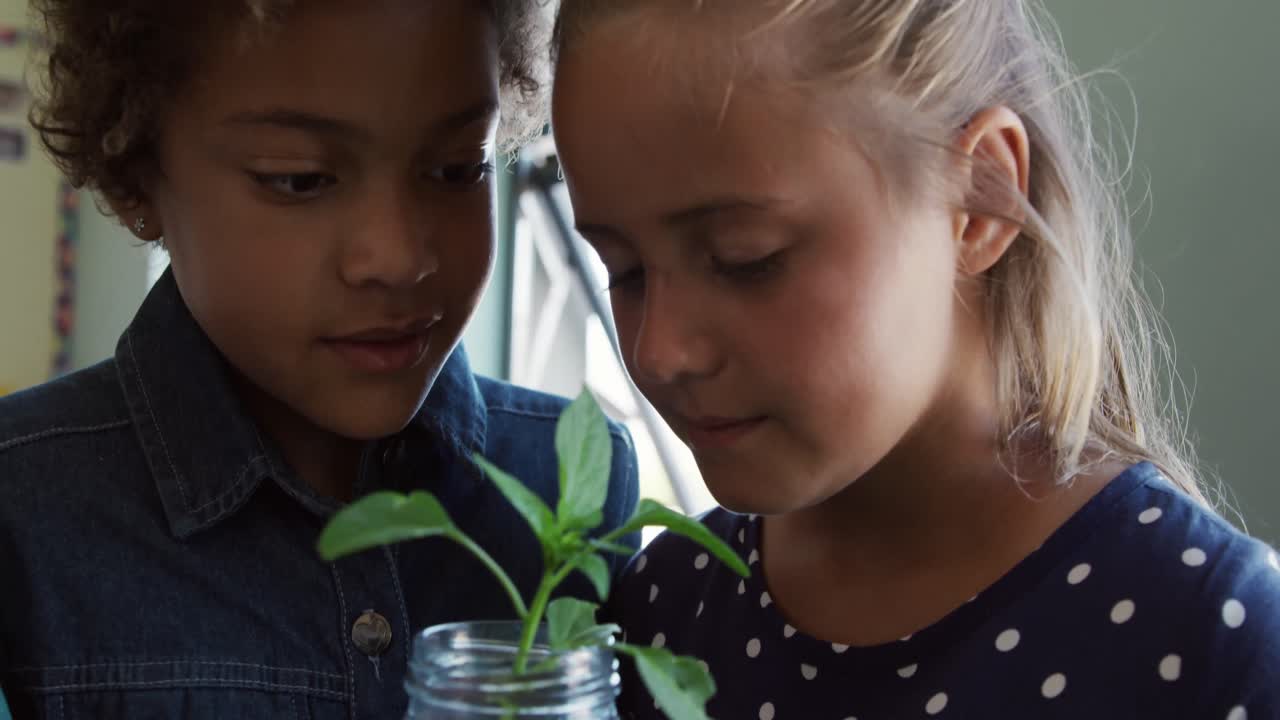 grupo de niños sosteniendo plantas en la clase