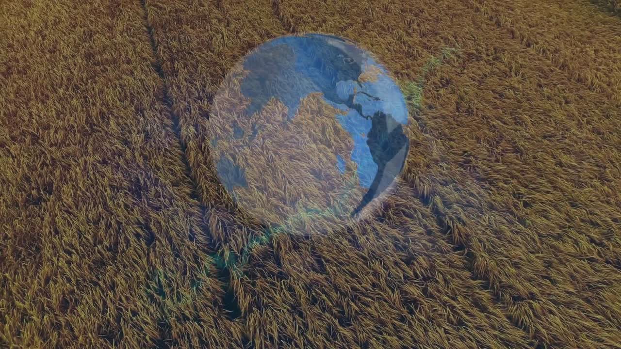 농업 분야에 대한 지구와 금융 데이터 처리의 애니메이션