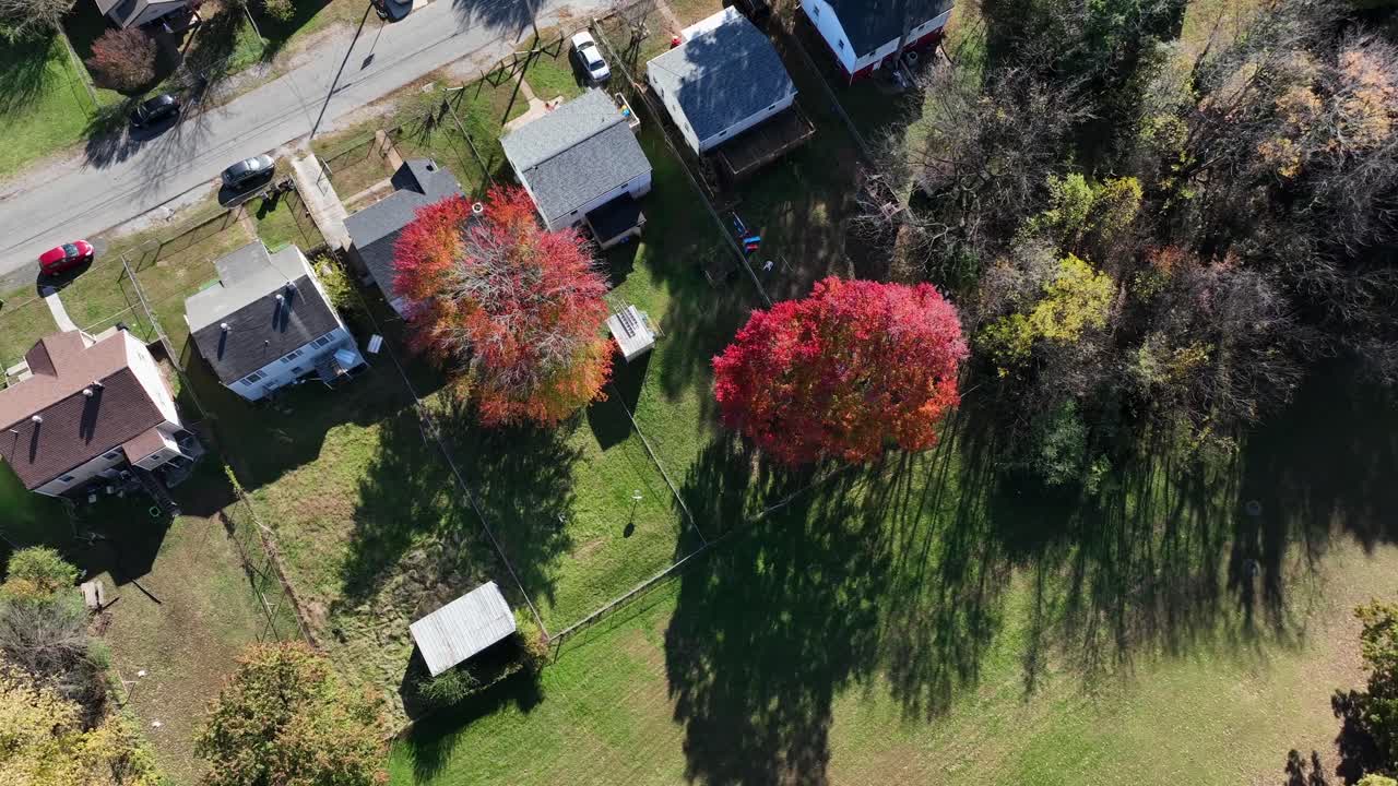 Row of American homes with red colored trees on sunny day in fall. Aerial top down. Suburb neighborhood of us in autumn. Peaceful and idyllic city landscape