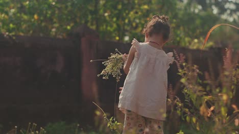 Toma-Estática-De-Mano-De-Una-Joven-India-Con-Flores-En-La-Mano-Parada-En-Un-Jardín-Con-Plantas,-árboles-Y-Una-Pared-En-El-Fondo-Mientras-Tira-Una-Planta