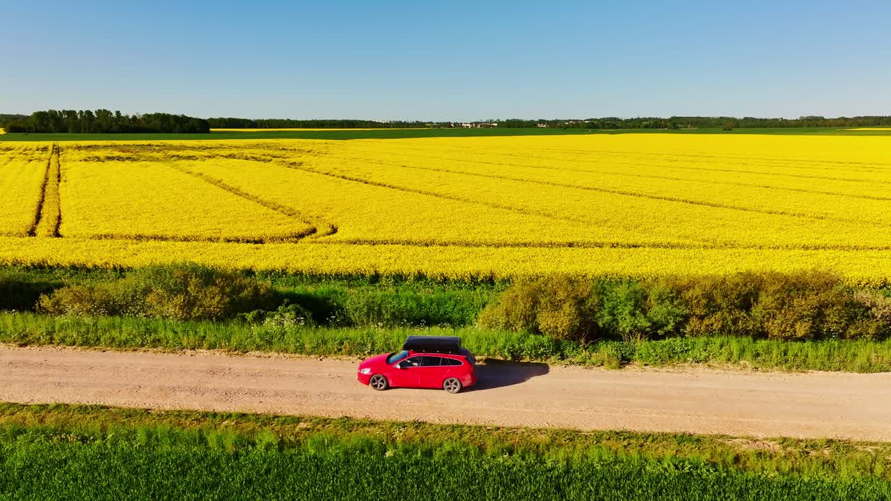 Viaggio panoramico in campagna che mostra libertà, stile di vita all'aperto e colture oleaginose.
