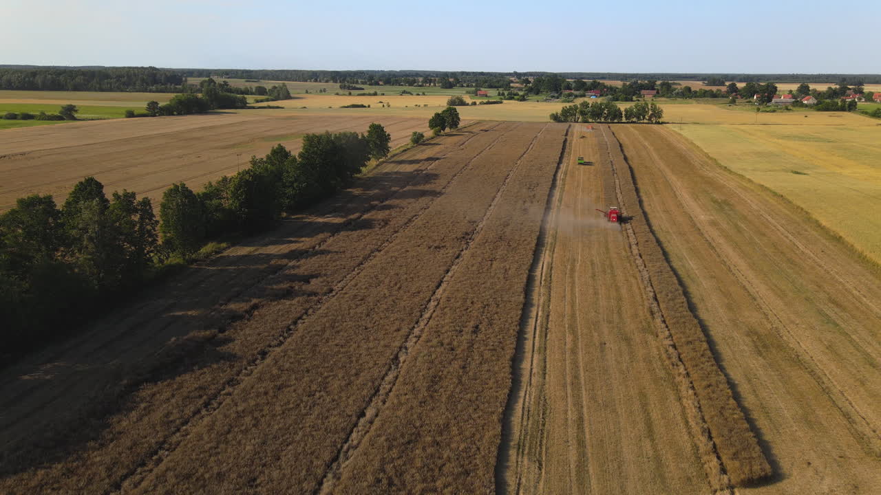 Eggen auf weiten landwirtschaftlichen Flächen in Mlynary, Polen
