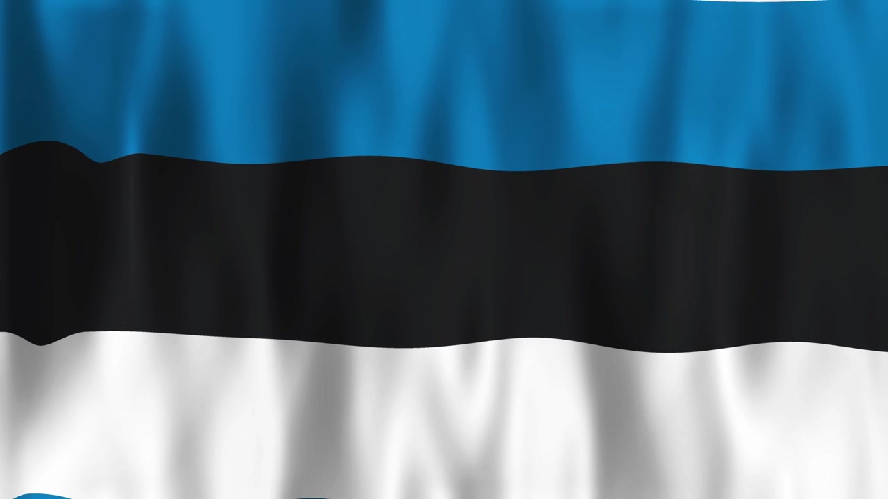 Sventolando la bandiera dell'Estonia