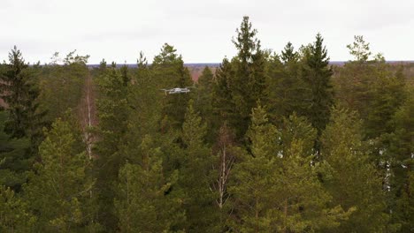 disparo de drones de otro drone volando sobre un bosque nevado en una zona rural