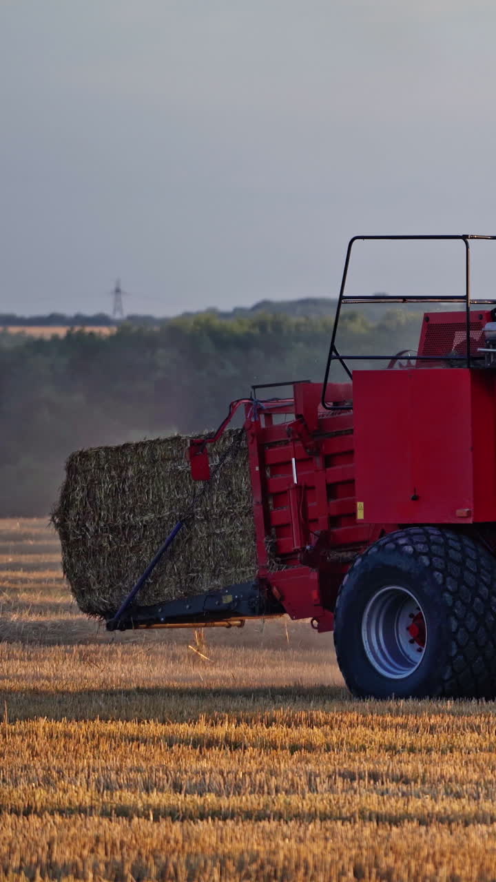 Modern tractor collects dry grass and pressing it into bale. Agricultural process of gathering hay on the golden field. Close-up. Vertical video