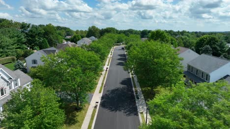 american neighborhood during summer day