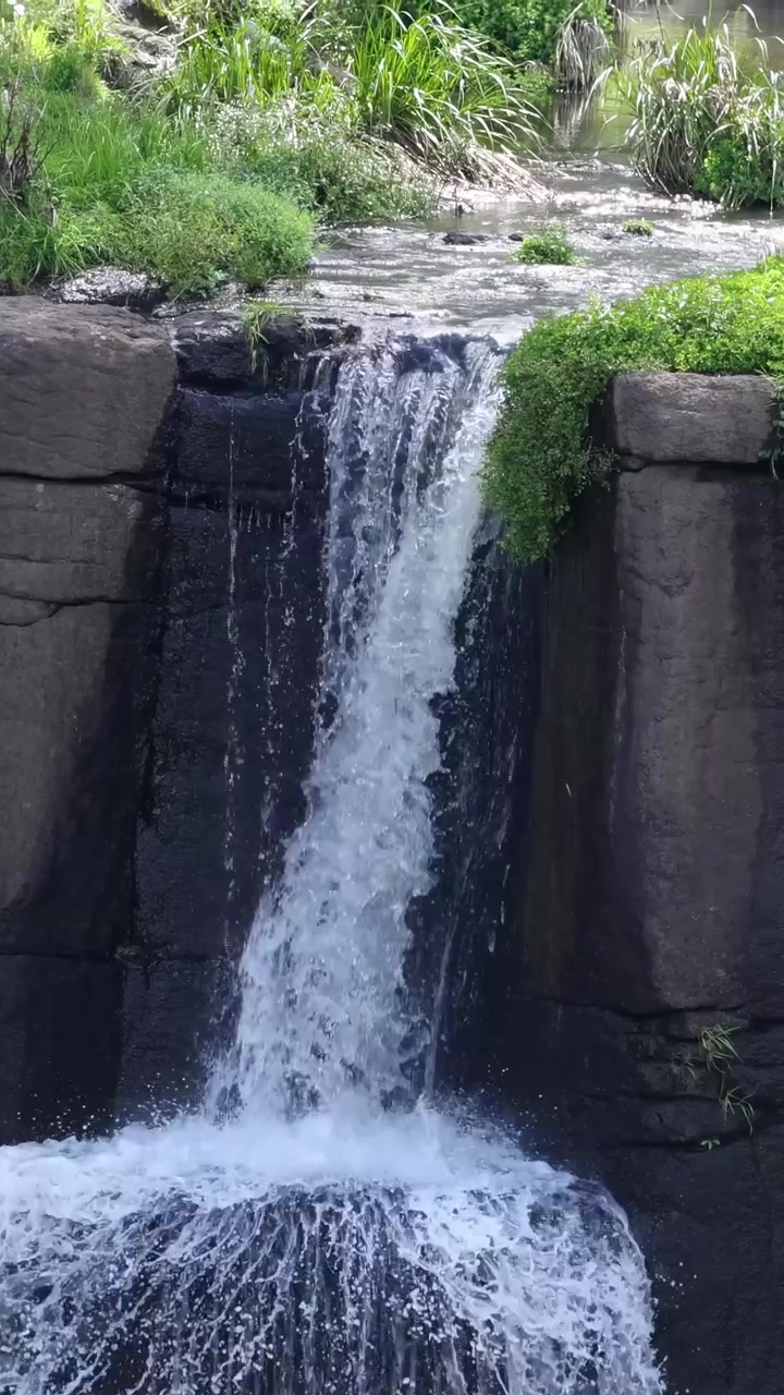 Cascata in cascata con lussureggiante vegetazione