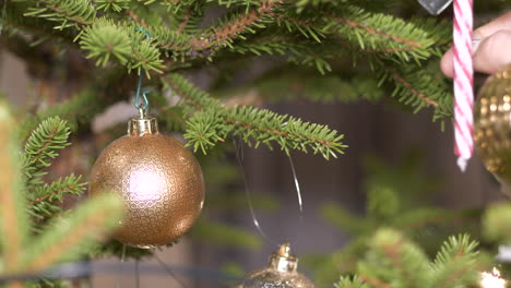 close-up of hand hanging shiny decoration ball in christmas tree