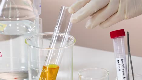 observación del cambio de color azul del bromotimol en el experimento