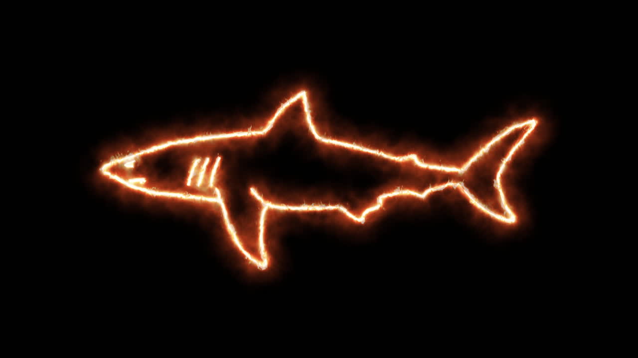 Shark outline of burning flames and neon lights