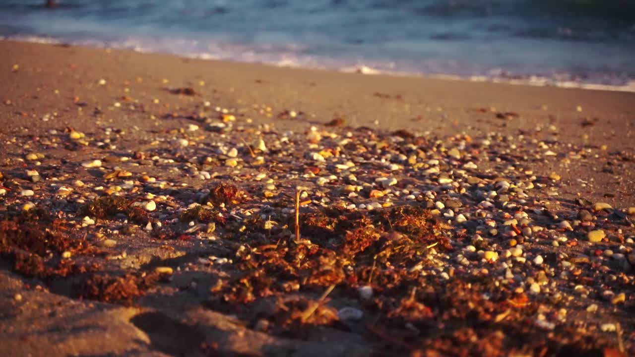 해변의 조류, 모래, 자갈이 슬로우 모션으로 수평선으로 기울어집니다.