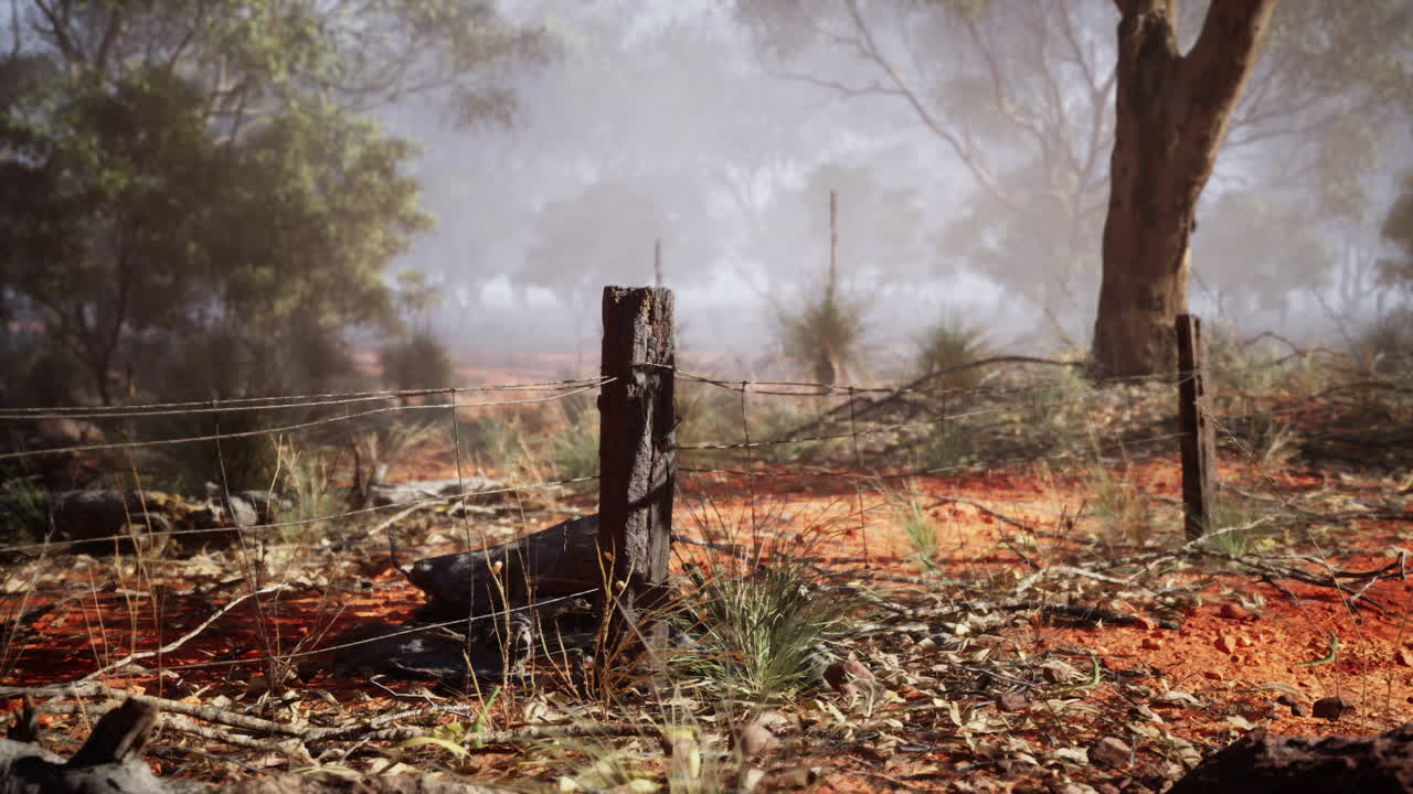 숲 속의 울타리