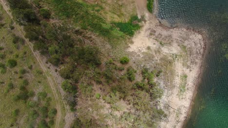 flyover vertically of bush land and lake foreshore ,shimmering water