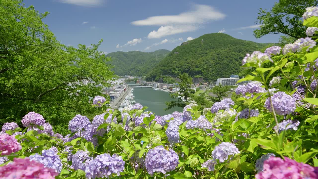 Incredible cinematic summer scenery in Japan with full blooming hydrangeas on top of Shiroyama mountain