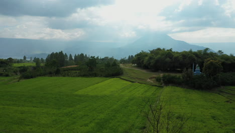 Drone-footage-of-caucasian-woman-sitting-on-a-scooter-near-a-rice-terrace-field-on-Samosir-Island-on-Lake-Toba-in-North-Sumatra,-Indonesia