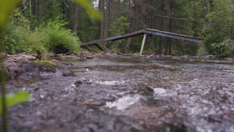 forest creek with damaged bridge