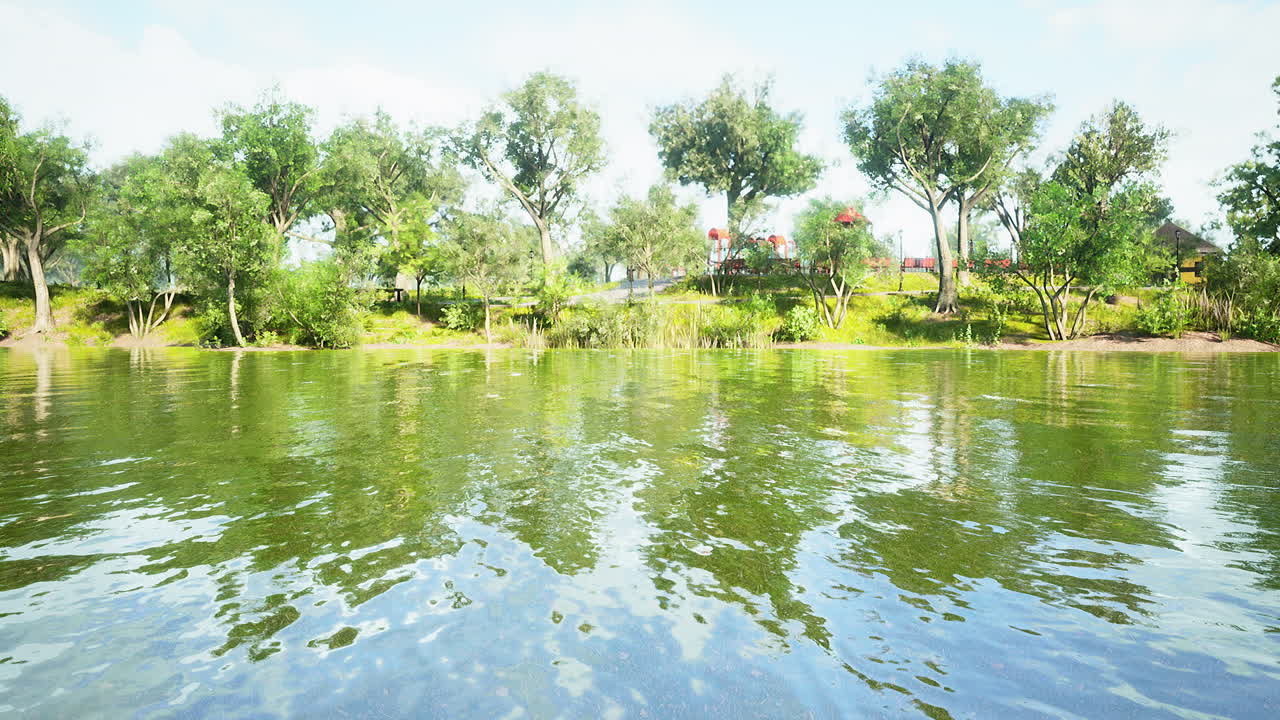 푸른 잔디 필드와 공공 공원에서 아름 다운 아침 빛